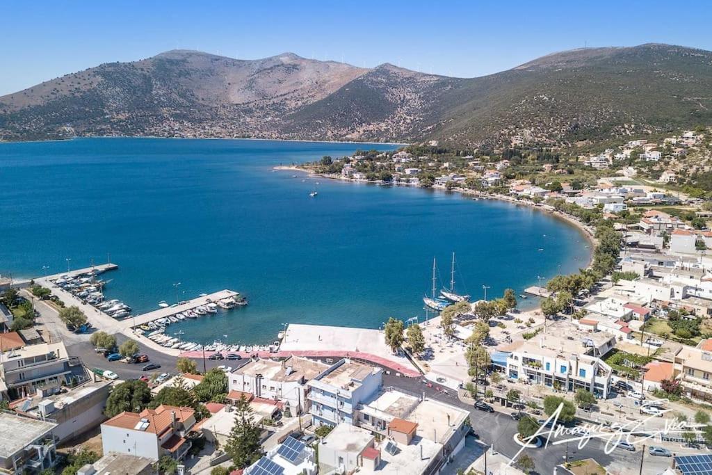 White Villa In Olive Trees And Seaview To Panagia Almiropótamos Exterior foto